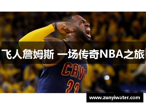 飞人詹姆斯 一场传奇NBA之旅